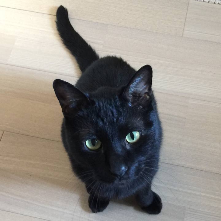 A7ae4736 326e 4789 9b33 b42c31682368 1588581938533