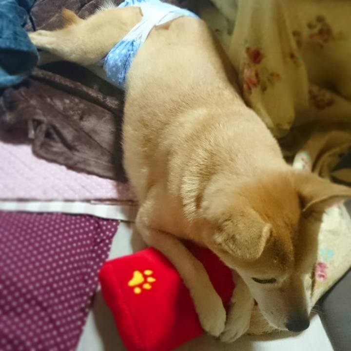 A7ae8c88 d4e5 4d21 8d20 b8057e5cbdcc 1537787329248