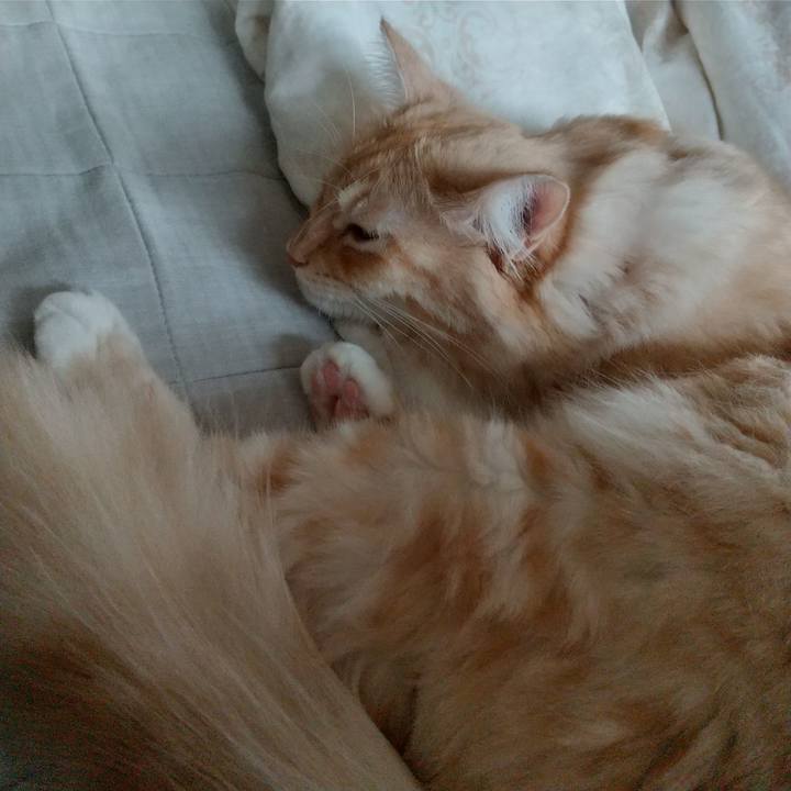 A7ae923c 5283 4c7f 8f38 d6e6bf2a15a2 1634257715385