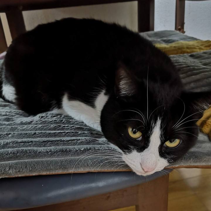 A7af2130 6d71 46f6 9690 cebd190e5dba 1640321365897