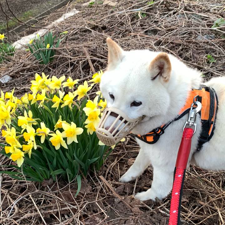 A7af2d67 17f3 49eb 9204 1126b953ca56 1650919043481