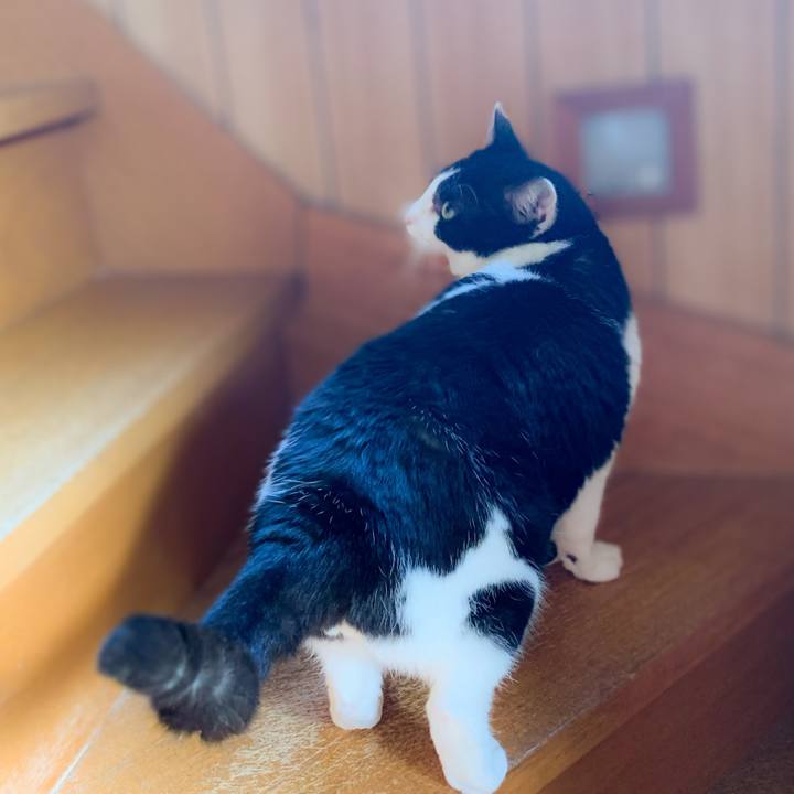 A7af307c 63f7 4b41 9c5a eaafcbedfe78 1588558010443