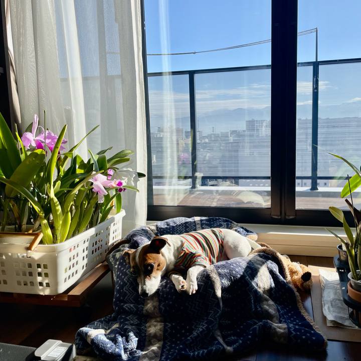 A7af38a6 74a2 4778 a932 e97d2da878b3 1736558369153