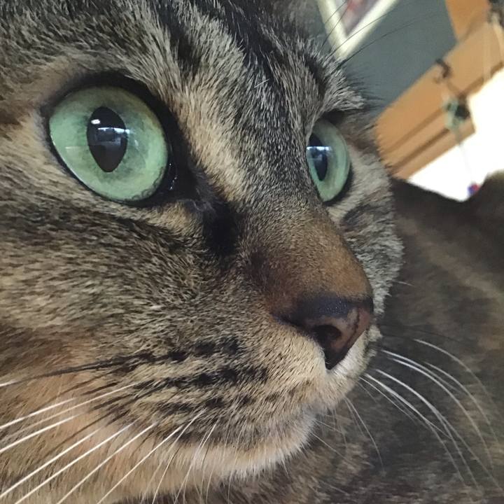 A7af9805 45f5 42fd 9776 4aa21fd89998 1712139035681