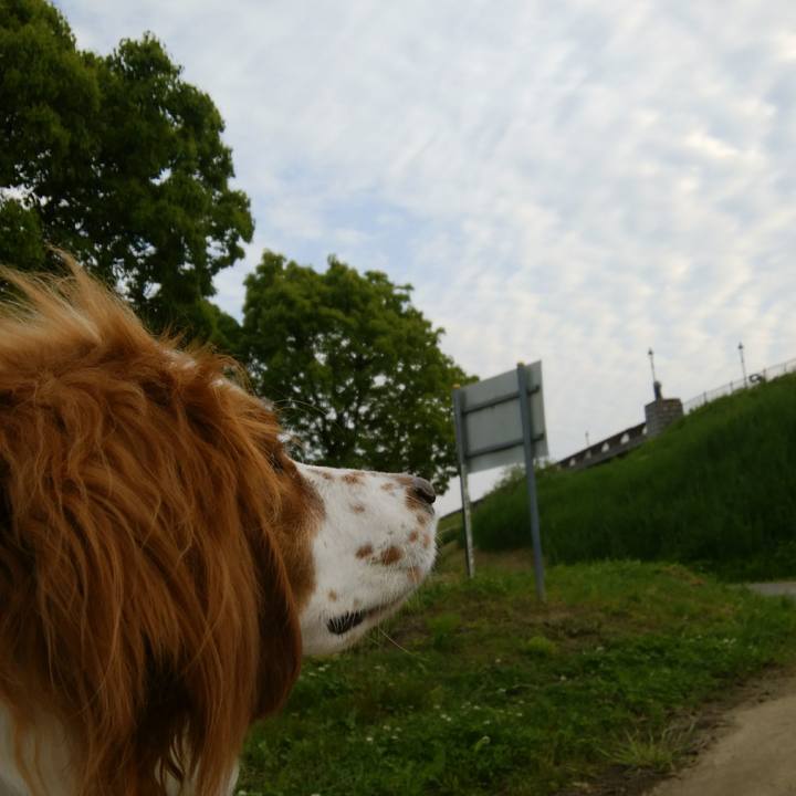 A7afb5aa c9ab 4a49 b0ff a79440f2a565 1525078427522