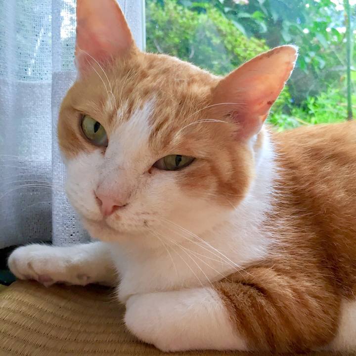 A7afdacc fb09 4494 ab5f 2f6db26d7093 1566011840279