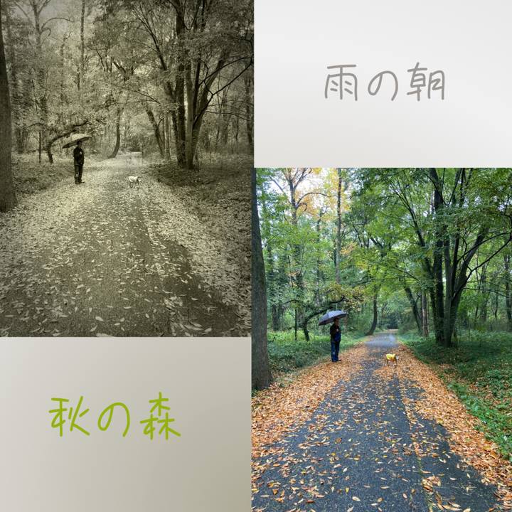 A7afeeff cf8a 4509 9f90 c1cc776b01e2 1762652559926