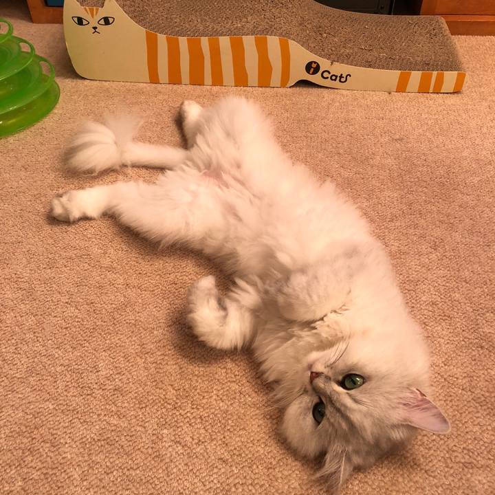 A7b0013d ff60 42f5 b6e8 1a11145e8113 1529927622397