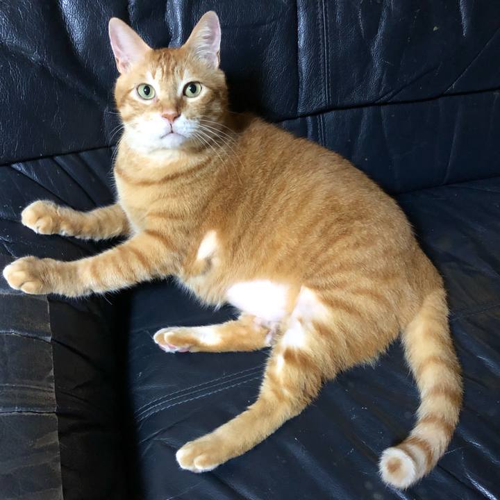 A7b00ef8 850a 4c09 8222 61fec271b640 1629548877700