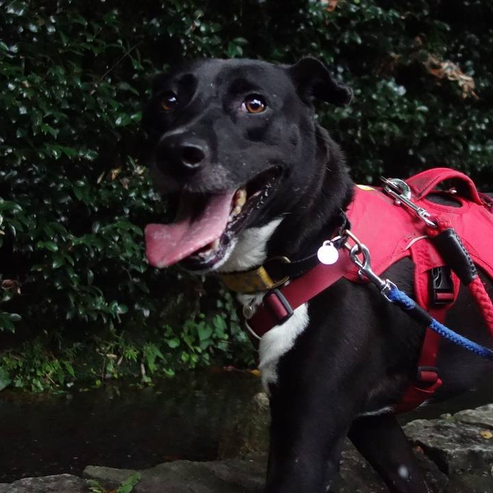 A7b02667 54e8 43c3 83f2 8508d4b3102b 1600472361459