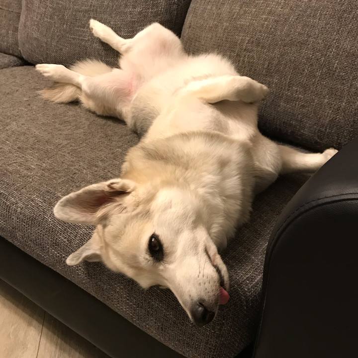 A7b02896 a414 414b bc33 369f923f7e02 1605012483937