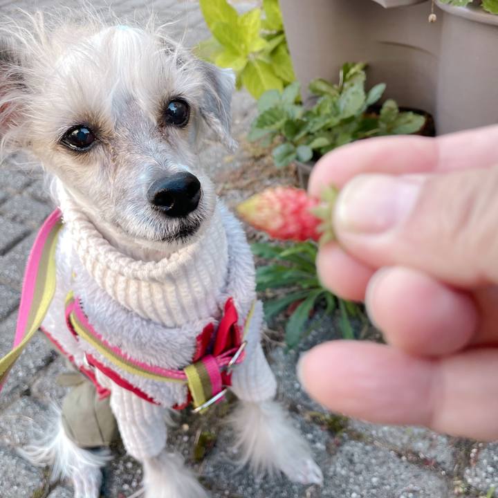 A7b04895 1638 47b2 859e 46645fe2979d 1761810790120