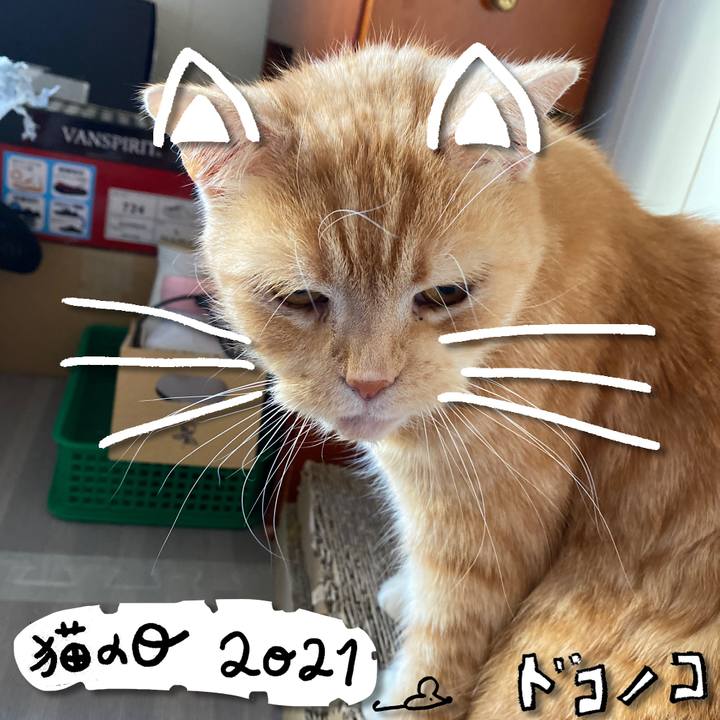 A7b0503f 2c5c 4ccb b471 776202fc06bb 1613977786047