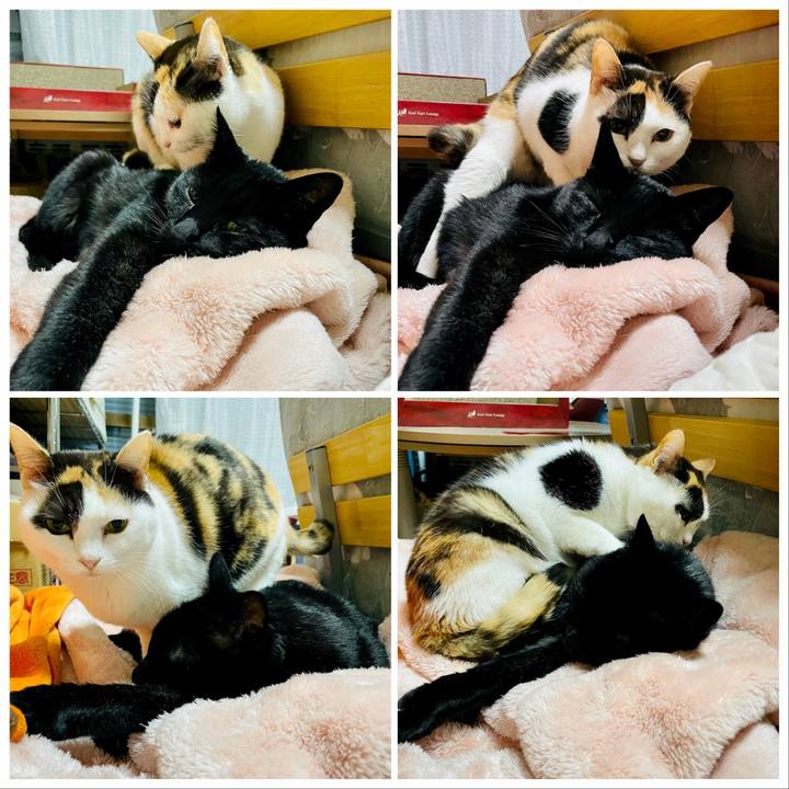 A7b0b098 43e5 4ee7 aa19 fa928d6c284d 1615343218609