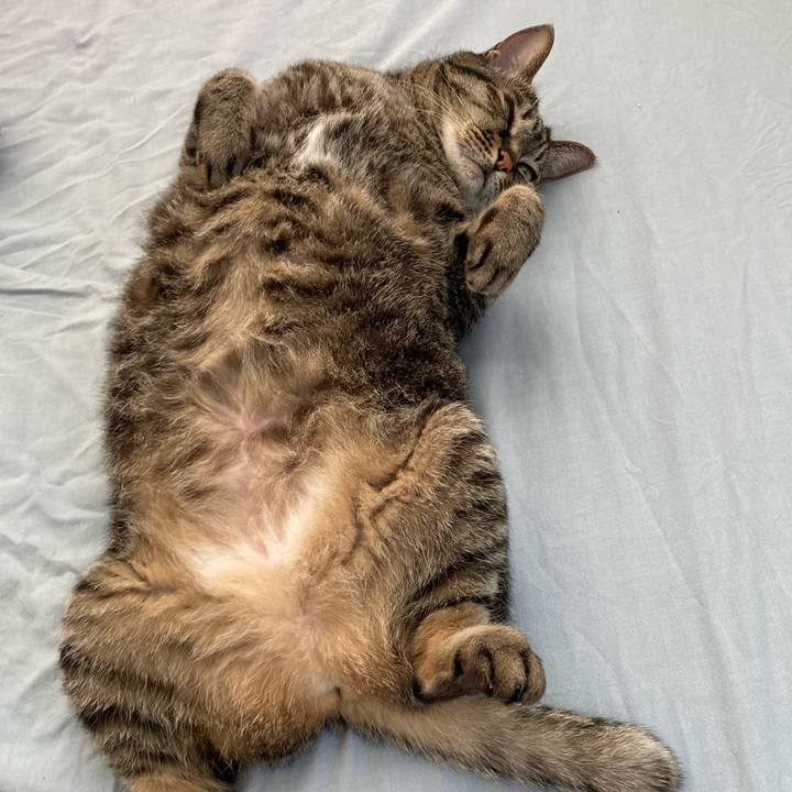 A7b0c0d0 5546 407c b774 4eb0288e8a6c 1649749131143