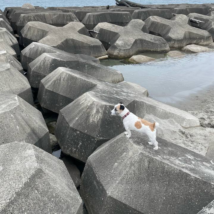 A7b0fb3d 1f8a 4c09 801a 3143f3149817 1623624048644