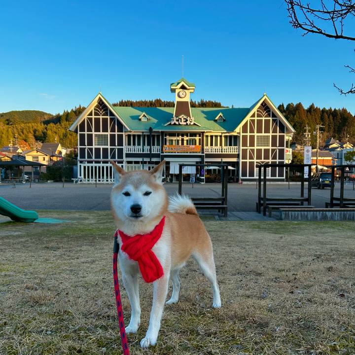 A7b11b3d e01f 4410 be4f d4baa0e4072c 1767254816643