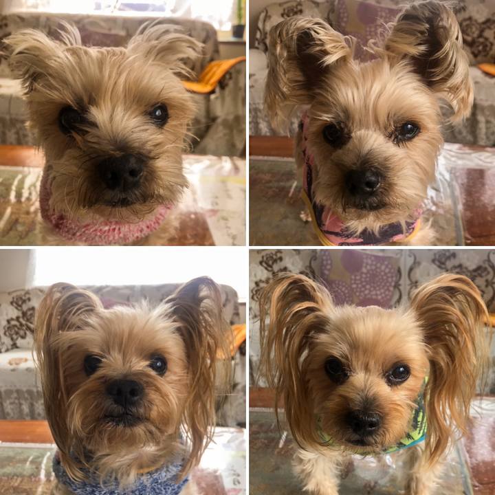 A7b13d72 e453 4c79 b3e7 c51612d18886 1582101427864