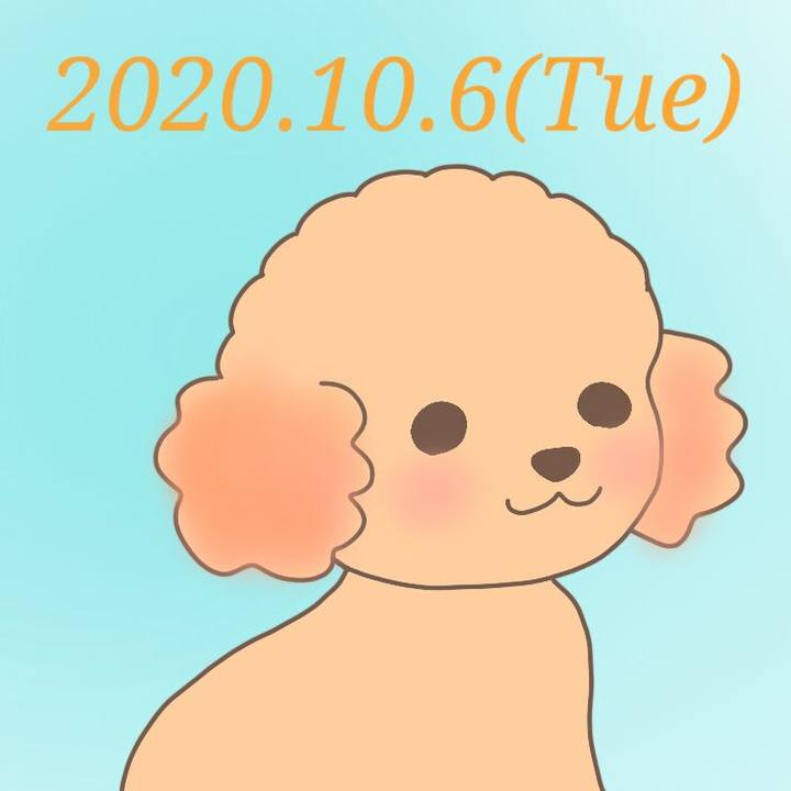 A7b15e75 d70e 419c 8f32 c79bf4730cd4 1601981802183