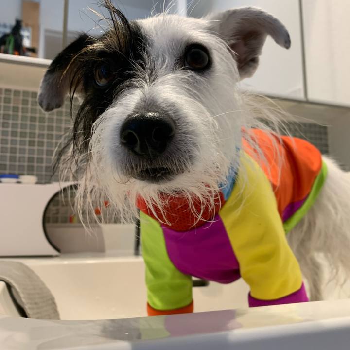 A7b1ef49 da95 4f7a a89f 7ddef60b2a31 1668478570428