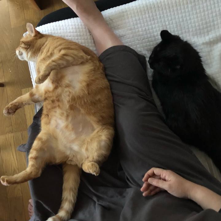 A7b1fbc7 e165 4f60 a4aa 8db32aee7782 1624141713662