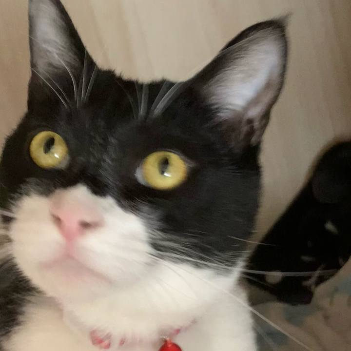 A7b20c74 52a5 448f b677 0db2263151f9 1619596252203