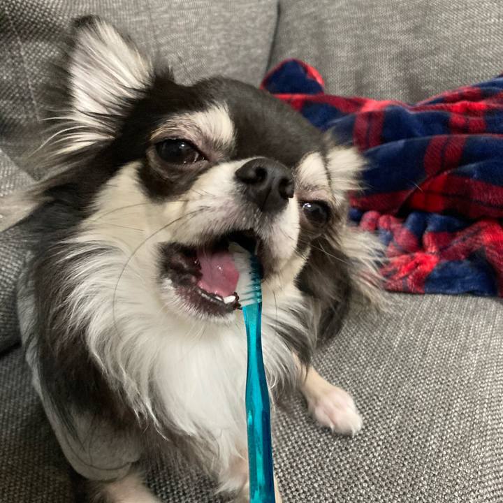 A7b225d4 6bc5 4b68 8555 28b4c71ecfd0 1612707382025