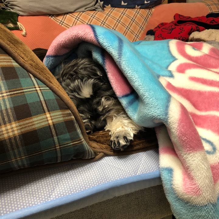 A7b231a3 ff43 4f0a 998e e167eccddff6 1614997828597