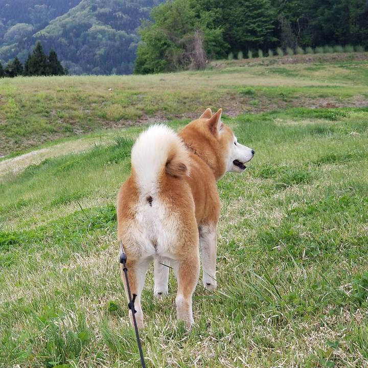 A7b24474 b986 4b0c 9e2e 288c9952ff13 1620630777846