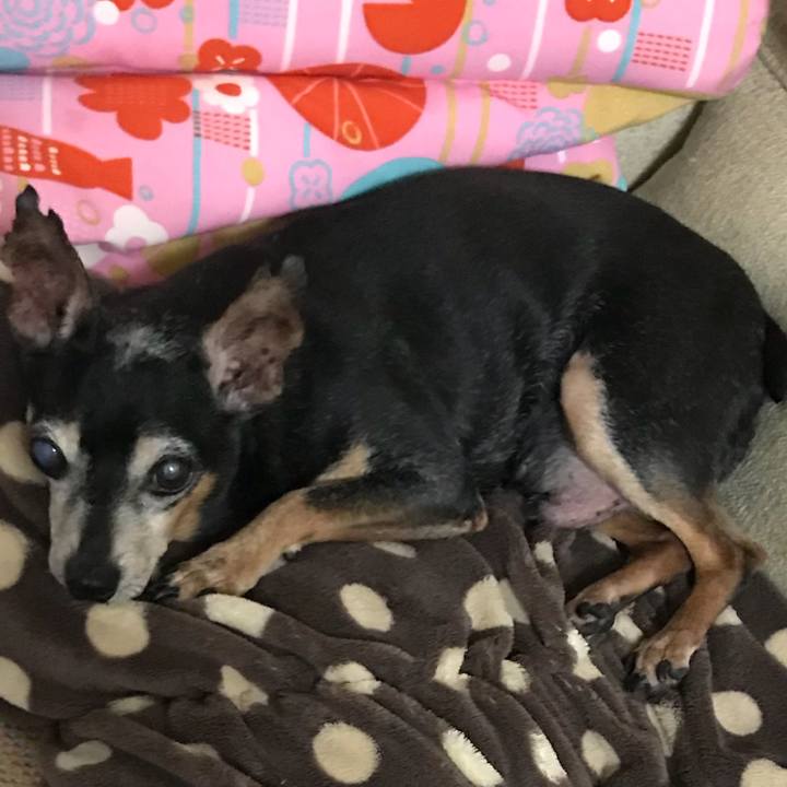 A7b25e68 299b 442a 8225 84bbf76eed06 1570488349968