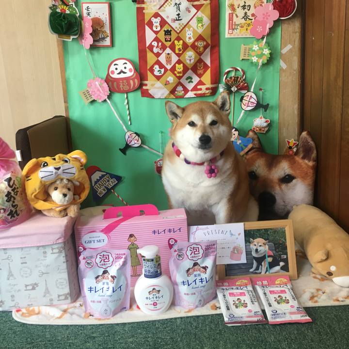 A7b2c7d5 c702 4723 a2b0 739b24fa5020 1646275928980