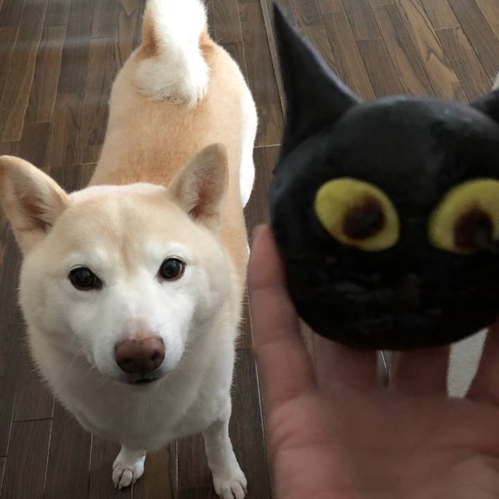 A7b2d740 a3f7 4043 b8ca 8bfa0be8bf57 1647903952280