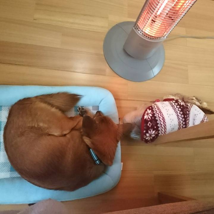 A7b2df12 16d8 4ddd a4c8 6c60bac14d6b 1514093369668