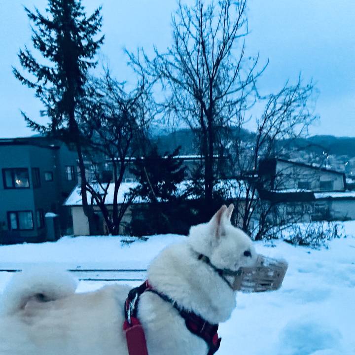 A7b2f2a0 30f8 4d47 8f5c 6bb2aa888b34 1767046756852