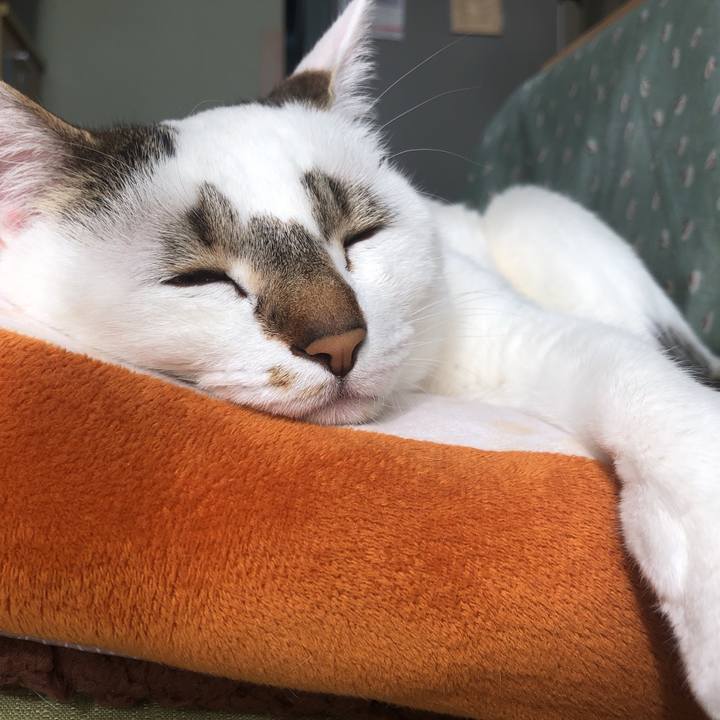 A7b2f47e 54b7 4732 b73c be3d19e5c5ff 1550809977280