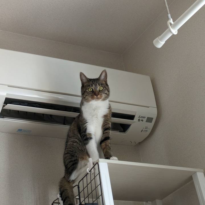 A7b2f93c 4032 4327 96cb be8b9b910c83 1692921544549