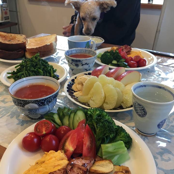 A7b3146a f655 43d9 ae54 d8b4cd389ebc 1523312465154