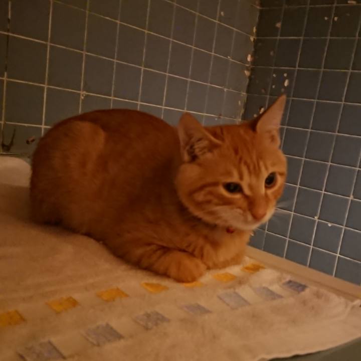 A7b339cb 2d27 48fa 841f 5db04521710c 1634378327772