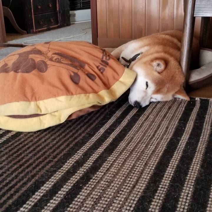 A7b38238 f267 4db9 a8a3 f9223f6fd762 1624157841398