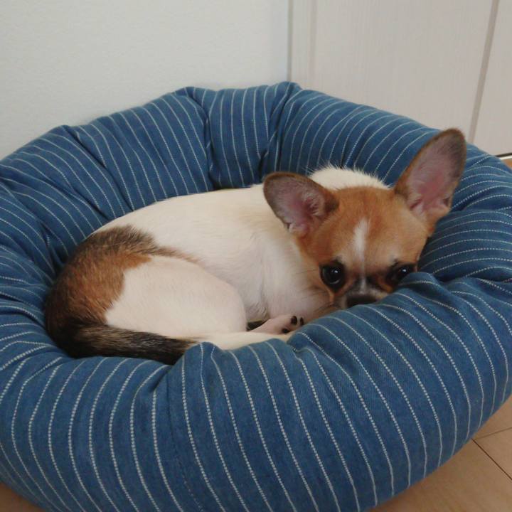 A7b38edb 0f67 4891 be3f b3113ef09f8c 1536576790952