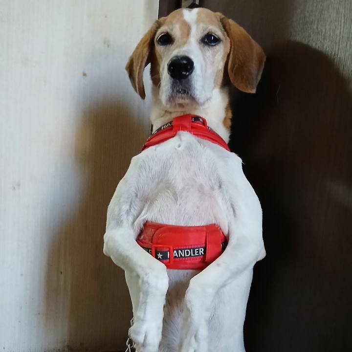 A7b3a4d7 4a56 4d0d 89cb 7c11a37e9f39 1764977446882