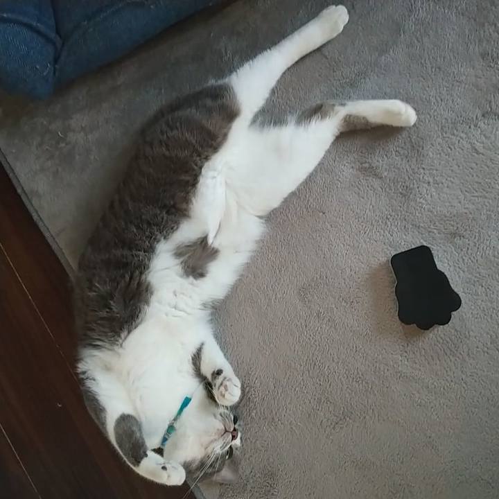 A7b3f849 730f 4f07 bc85 1bb987a98484 1653000313476