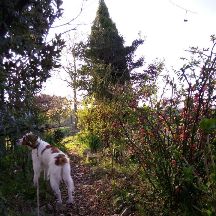 A7b40291 a592 48f7 a464 5128e1c9d2e3 1522064178279