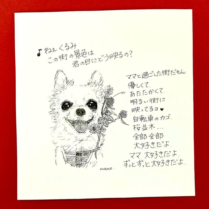 A7b425fd 57db 4dc7 b046 6e0b08816789 1643177655724