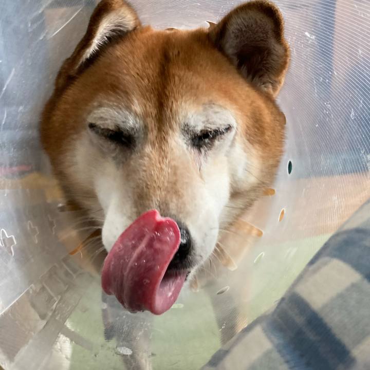 A7b4688f bd77 47b3 91e7 2ed79d6badd7 1667104637361