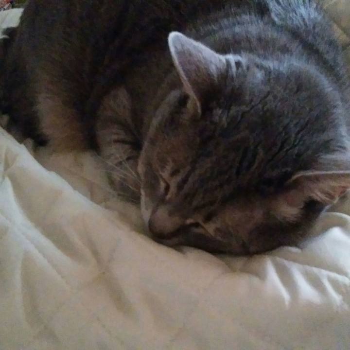 A7b47311 05e5 4c52 aad5 b0300aeca990 1587420780862