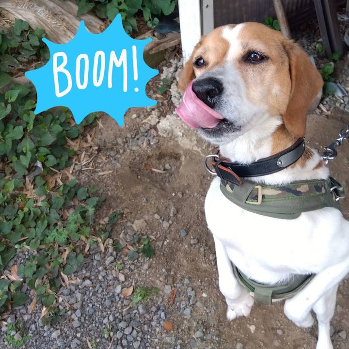 A7b49f51 6a71 46d8 bbb2 1f7c46f0b8b3 1683362004546