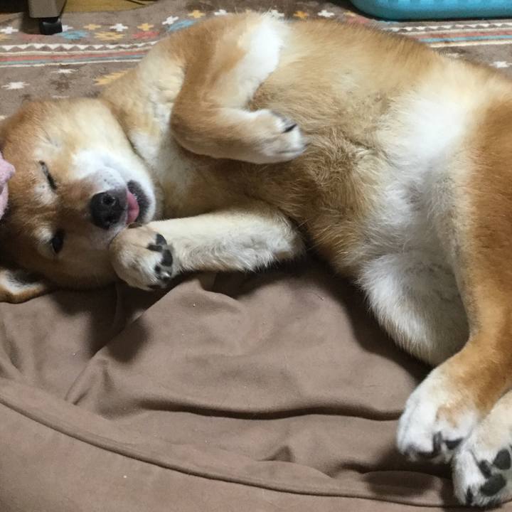 A7b4ab15 c635 4cb7 af08 5f290e94fb16 1553171091650