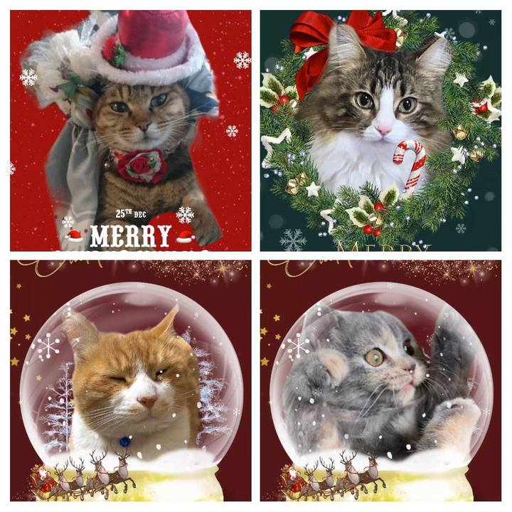 A7b4c4c7 84b7 46a8 900a a3fcd8b7d9e6 1640311015916