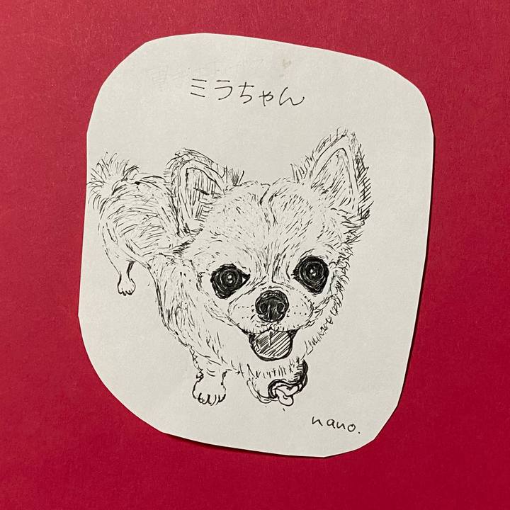 A7b4d134 51ff 41b4 90b6 1d097ee7fb9d 1636377799778